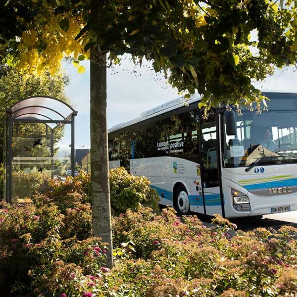 Bus