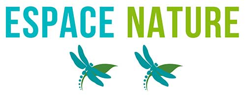 Space Nature logo